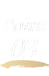 point03